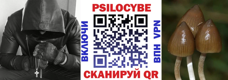 Купить где  Устюжна  Псилоцибиновые грибы GOLDEN TEACHER 